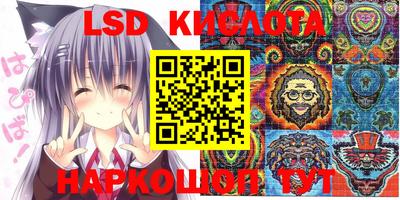 ПСИЛОЦИБИНОВЫЕ ГРИБЫ Новозыбков