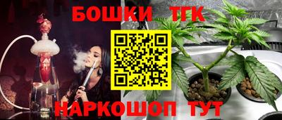 стаф Новокубанск