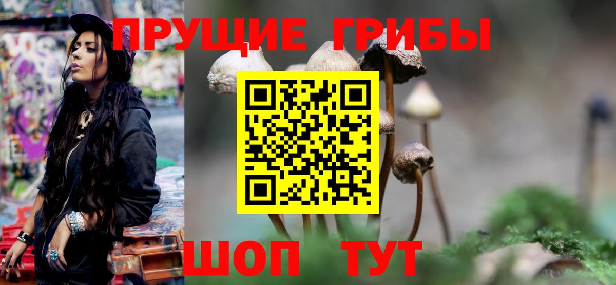 Сургут  Псилоцибиновые грибы прущие грибы  Галлюциногенные грибы ЛСД  Вход с VPN 